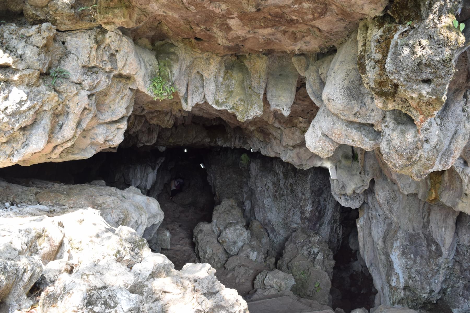 Lower Capricorn Cave