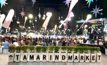 4cykaux2fux56atpjouw05pp11cq pixelcut export%20(6)