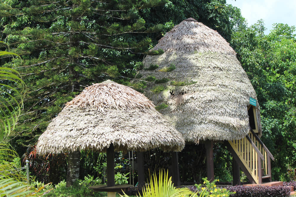 Mount Harriet and Madhuban