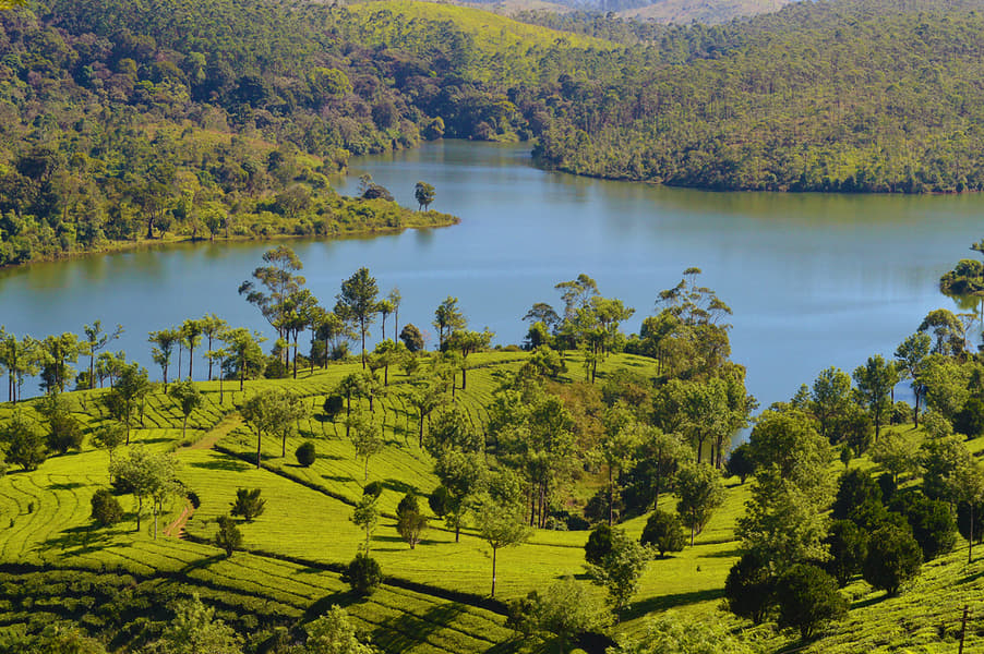 Kerala Tour Package 2 Nights 3 Days from Bangalore Image