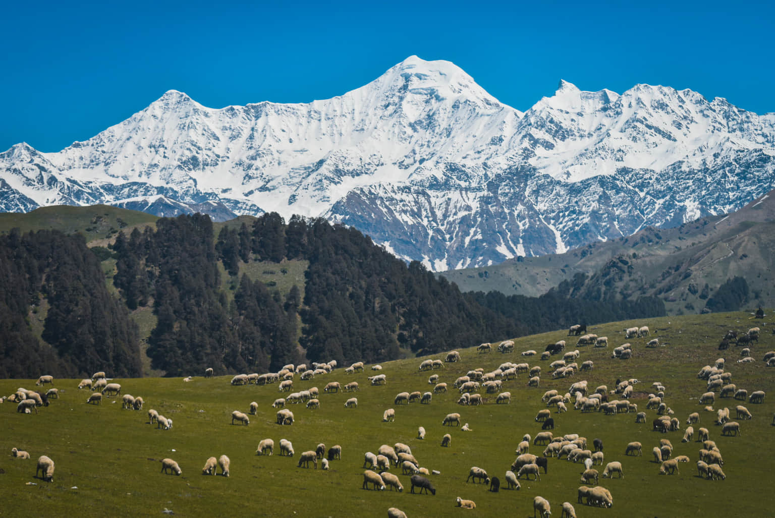 <em>Uttarakhand</em> Tour Packages From Gurgaon
