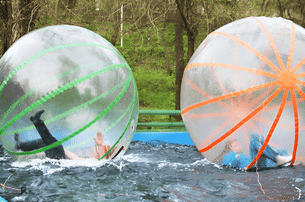 4e2zgeahid7ymtmcbp62dzind6v8 vum22zk402hxxs29nzj9h9rfjsd0 steptodown.com318184