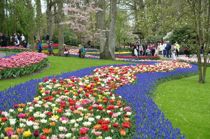 Keukenhof Gardens, Amsterdam