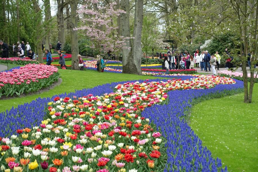 Day Trip from Amsterdam to Keukenhof Gardens with Windmill Cruise