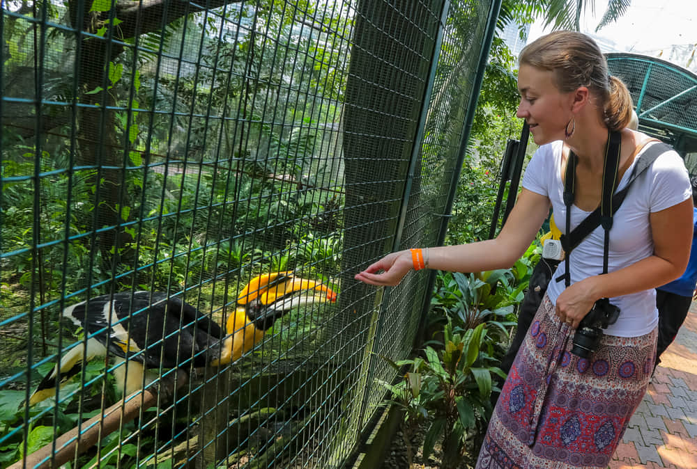 Hornbill Park: