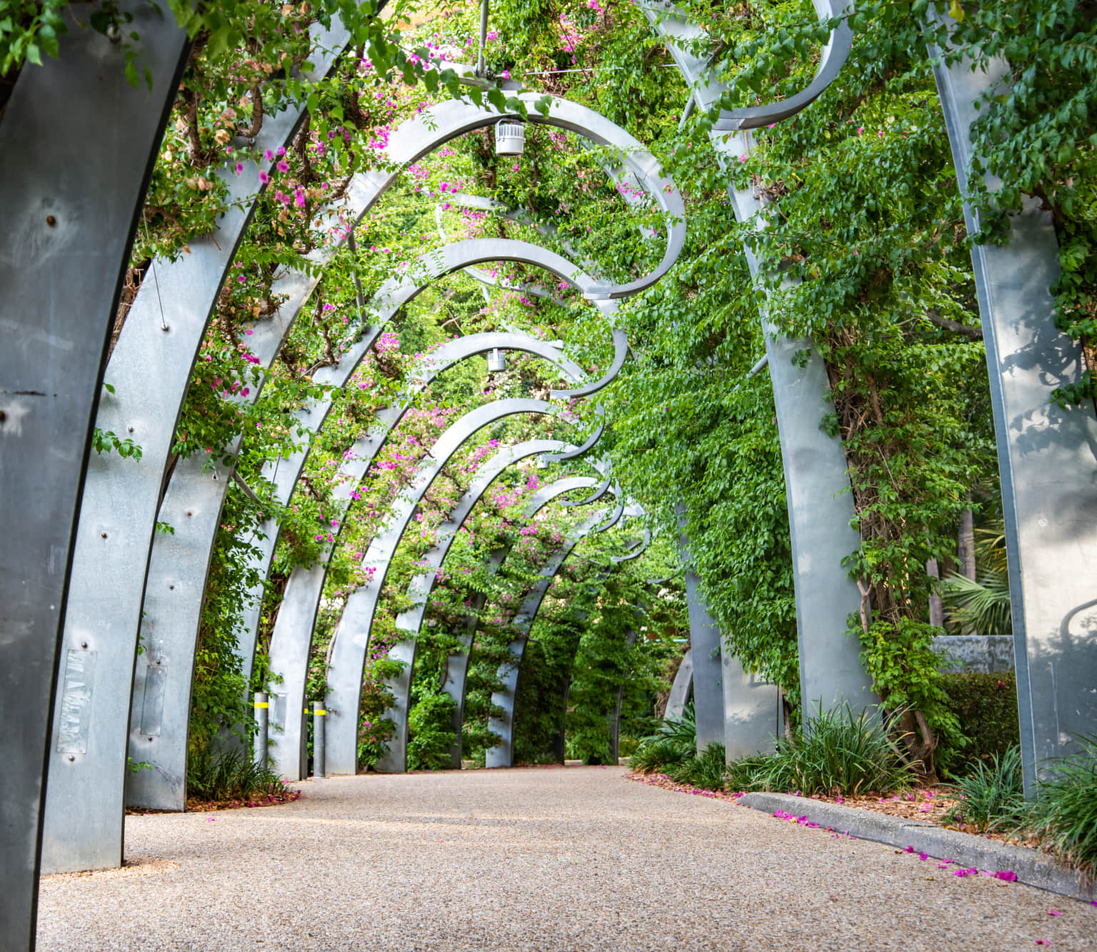 South Bank Brisbane, <em>Brisbane</em>