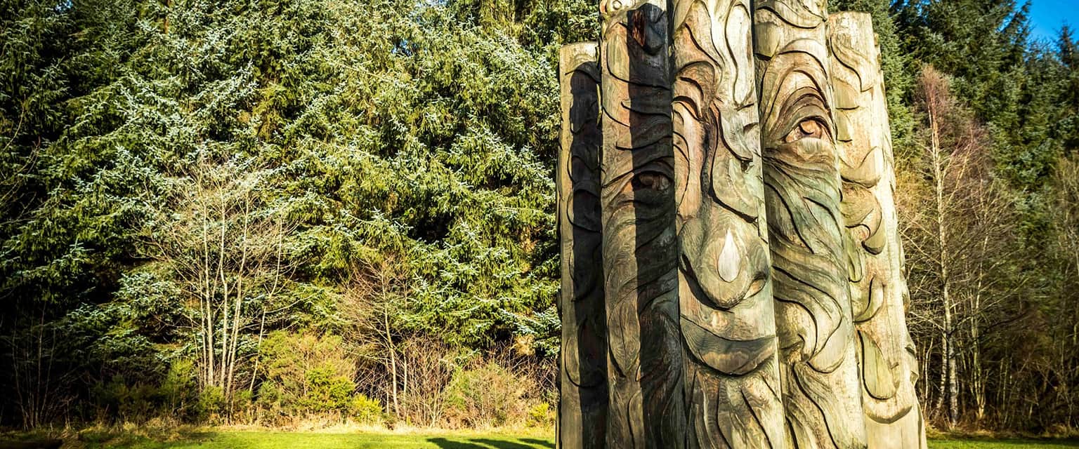 Hamsterley Forest, <em>England</em>