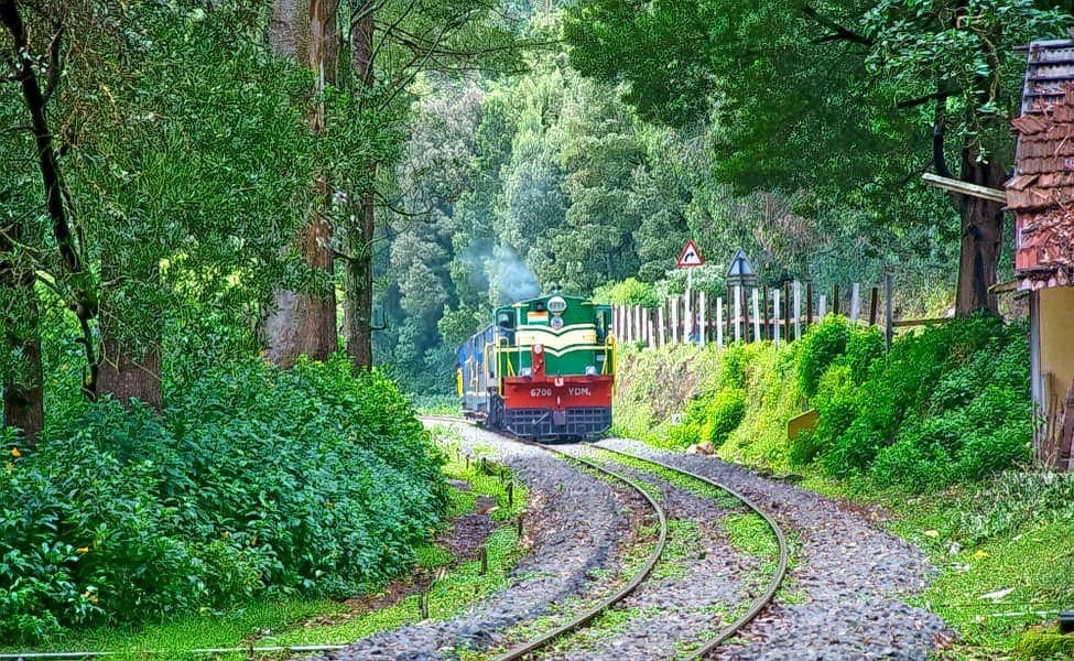Ooty Family Tour Package for 2 Days Image