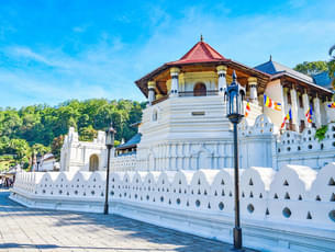 Explore Kandy City hassle-free with your private vehicle