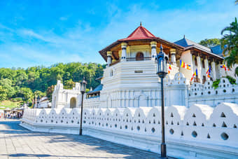 Explore Kandy City hassle-free with your private vehicle