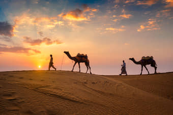 Ride into the golden sunset on the back of a camel across the Osian dunes