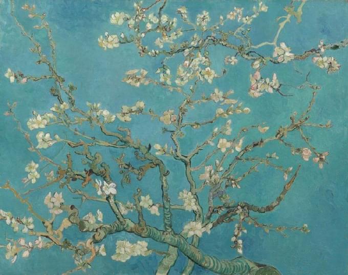 Almond Blossoms Painting at Vangogh Museum