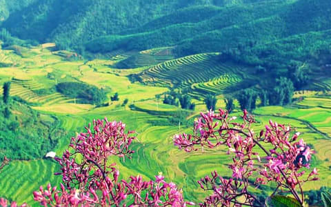Dien Bien Phu Tour Packages | Upto 50% Off April Mega SALE