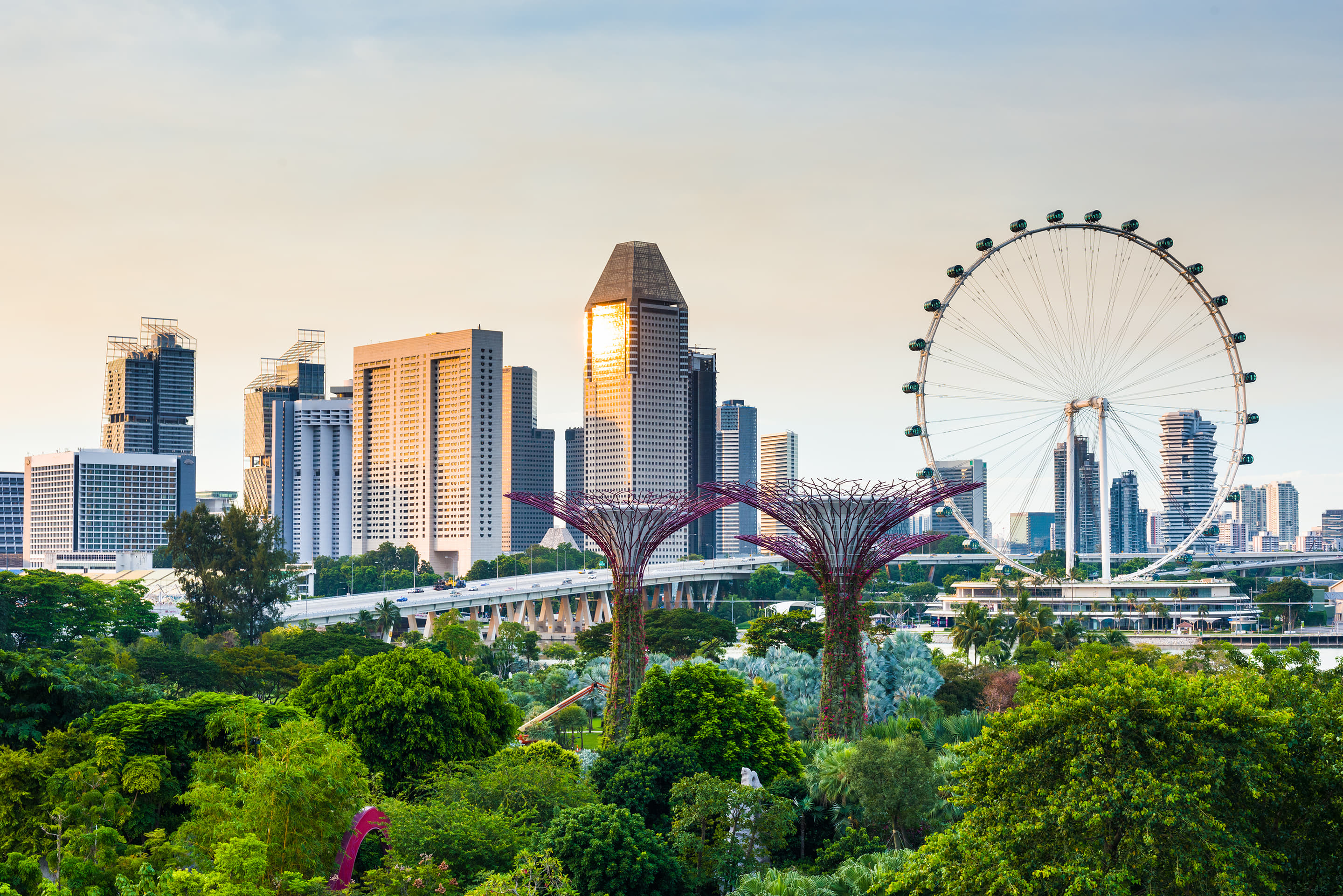 Panoramic skyline from the Singapore Flyer during the Singapore Tour.