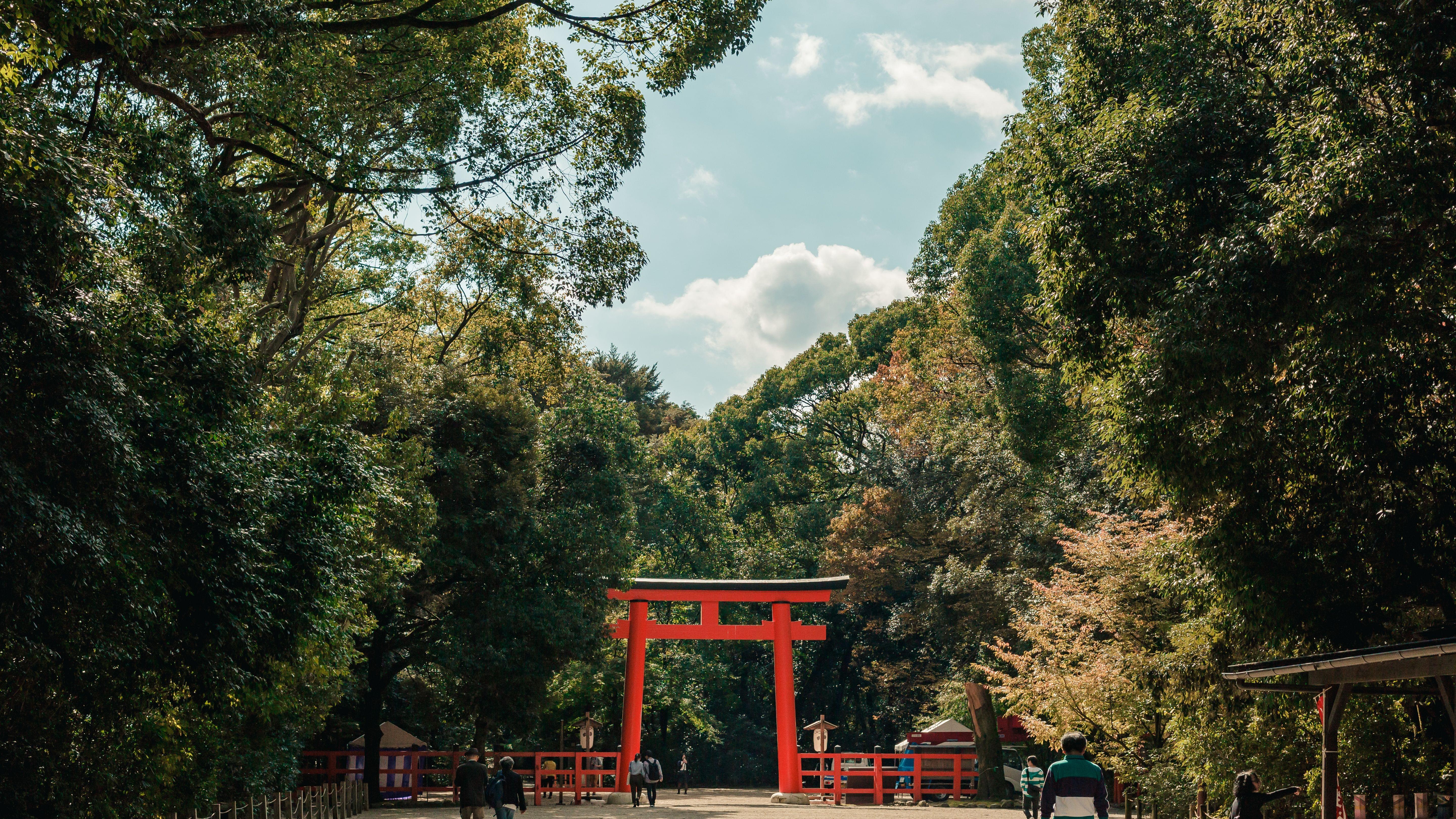 Things to do in Kyoto