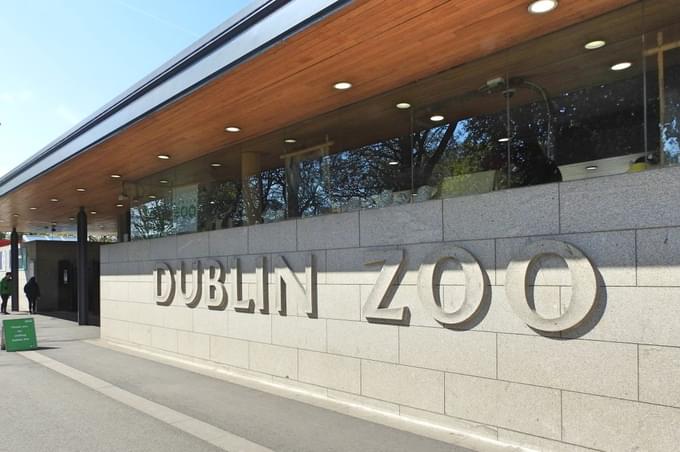 Animals at Dublin Zoo