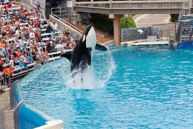Sea World