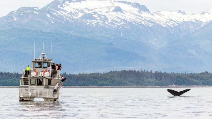 Mendenhall Glacier Tour