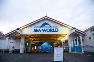 Sea World Tickets, Gold Coast