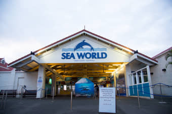 Spend a memorable day with marine animals, thrilling rides, and live entertainment at Sea World