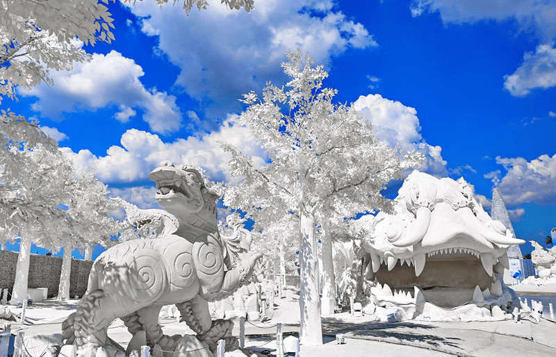 FROST Magical Ice of Siam 7