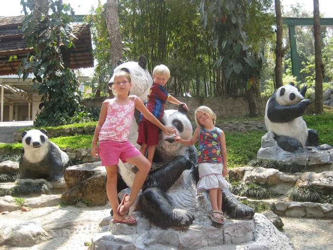 Chiang Mai Zoo Tickets