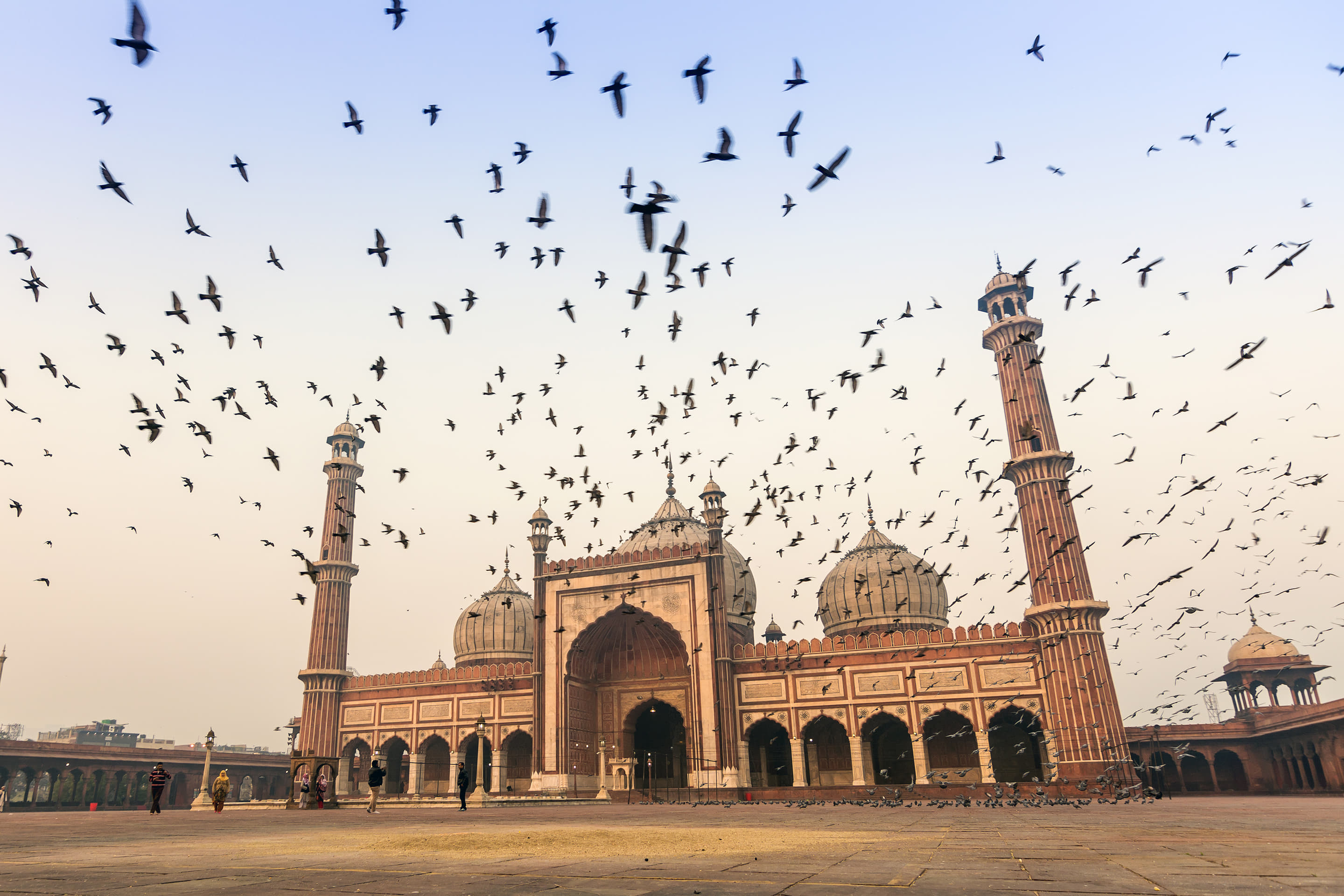 Delhi Holiday Packages from Ahmedabad