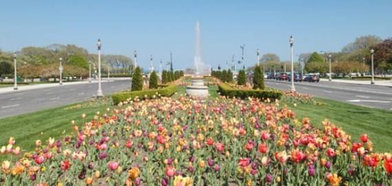 Visit Grant Park and Buckingham Fountain
