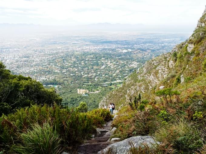 Things To Do In Cape Town