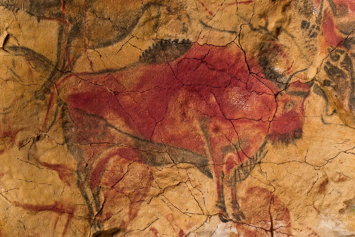 Exhibits on Prehistoric Art and Archaeology