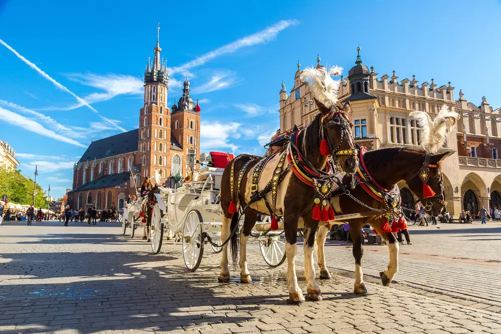 Germany Poland Tour Package