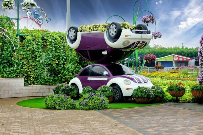 Dubai Miracle Garden Pics