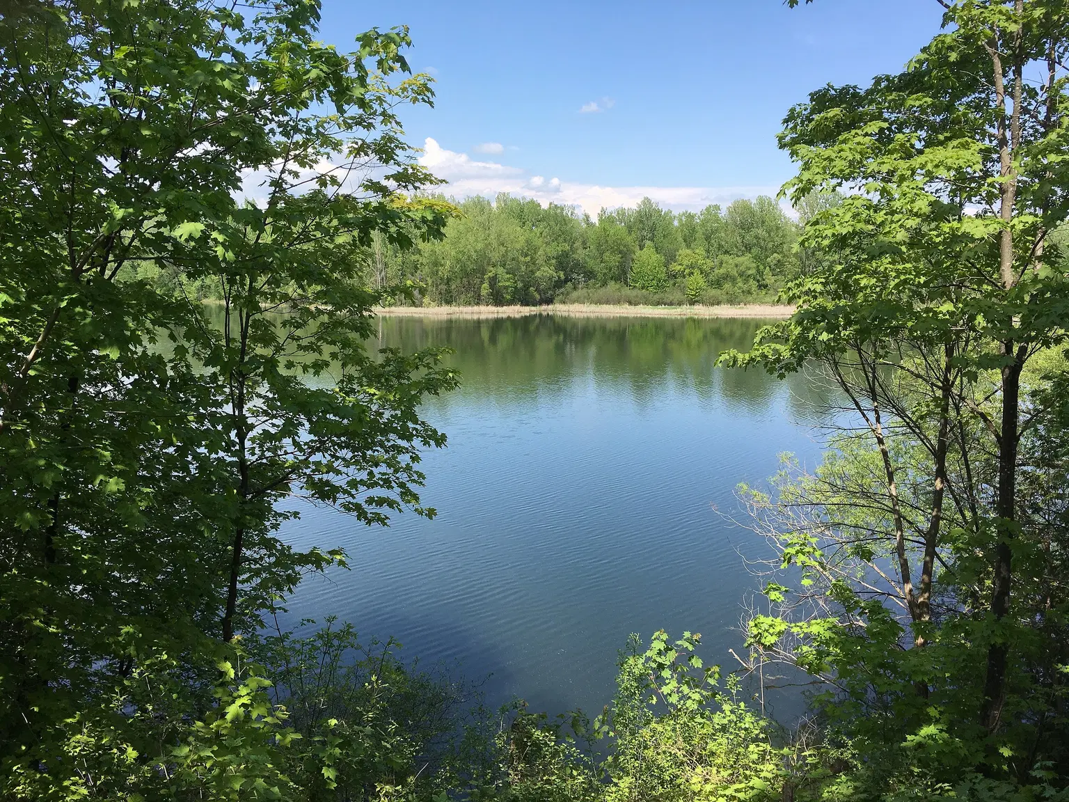 Rockcliffe Lookout