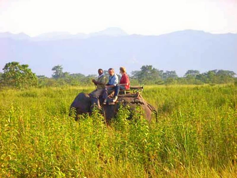 Wildlife Tour In Kaziranga National Park Image