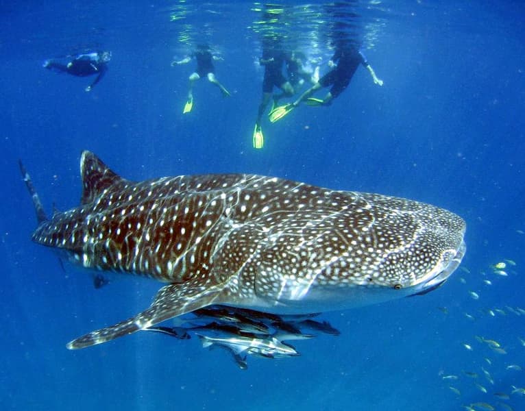 Perth To Broome Tour Image
