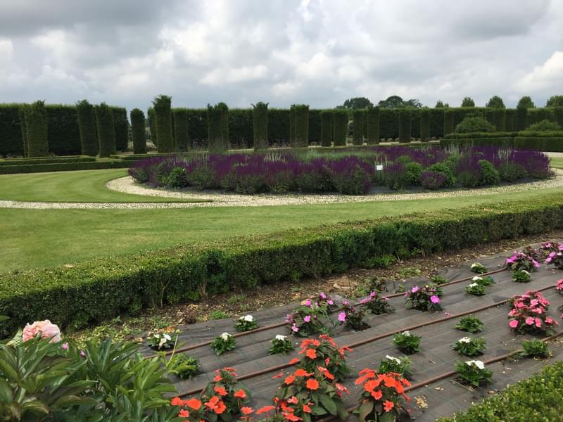 Plan Your Visit to Venaria Reale Gardens