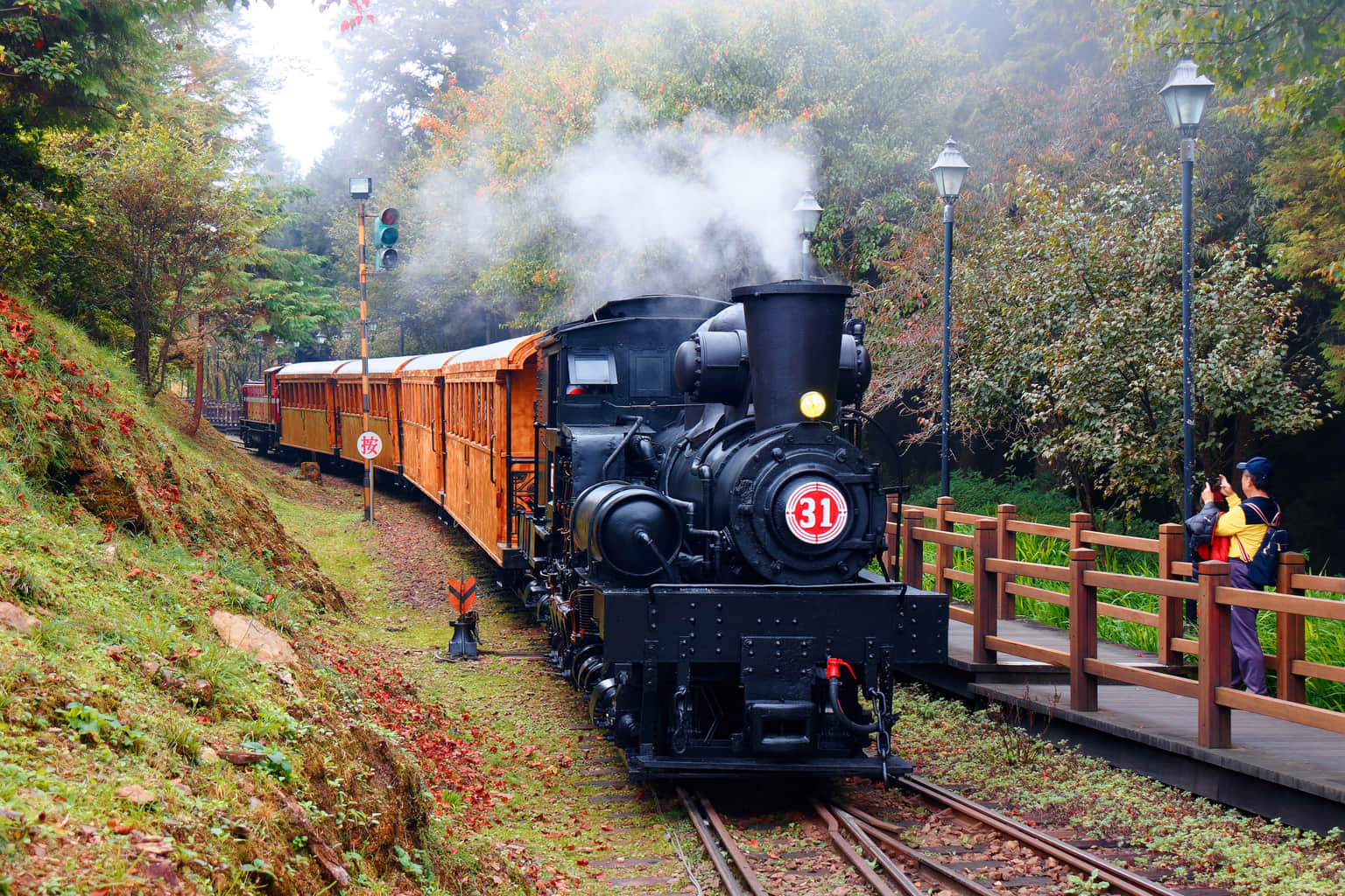 Take a Train Tour