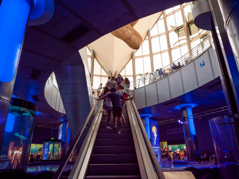 Stroll through halls of the L'Oceanogràfic with your mates