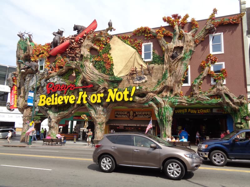 Ripley's Believe It or Not, Amsterdam Here Reality Takes Twist