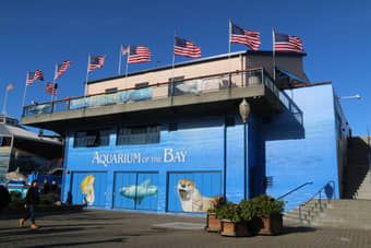 Welcome to Aquarium of the Bay
