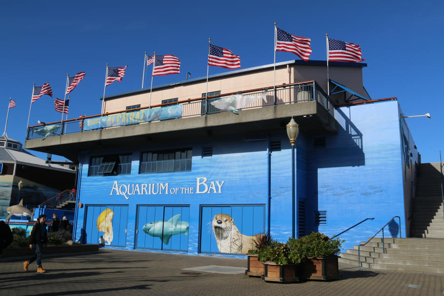 Welcome to Aquarium of the Bay