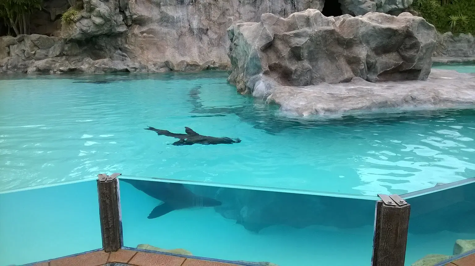 Sea Lion Island