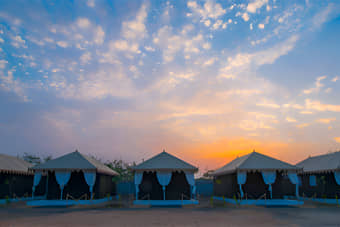 Rann Utsav Private Camping with Activities, Kutch