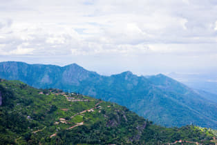 4mz5jmuk2tfa7pphgzdgfulzbux7 1556101314 shutterstock 655914568