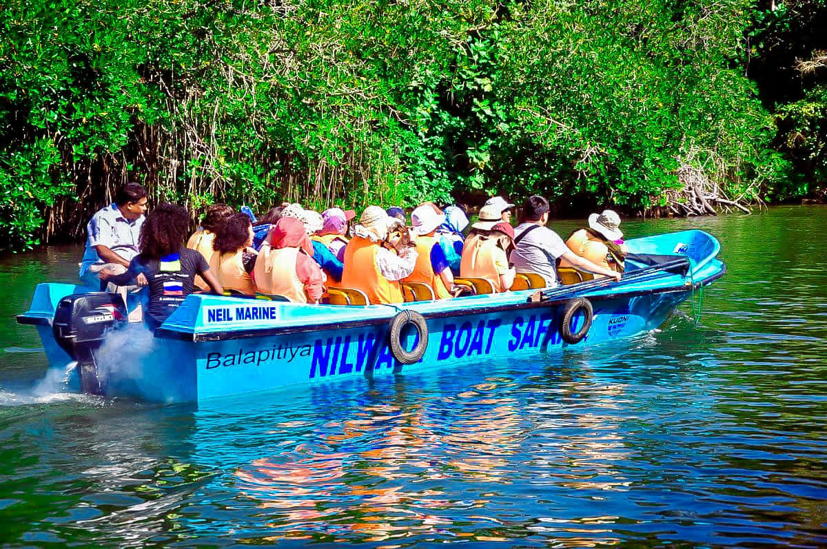 Madu Ganga Boat Safari | Balapitiya River Safari