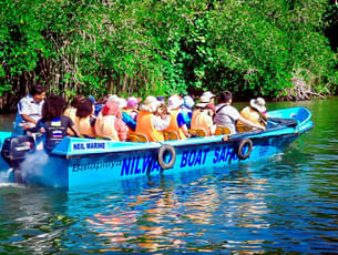 Boat Safari, Madu River