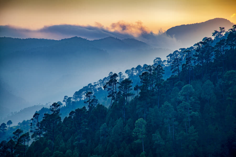 Ranikhet Tour Package from Delhi Image