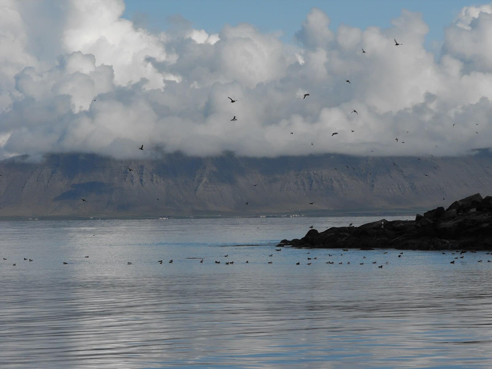 Akurey Island Overview