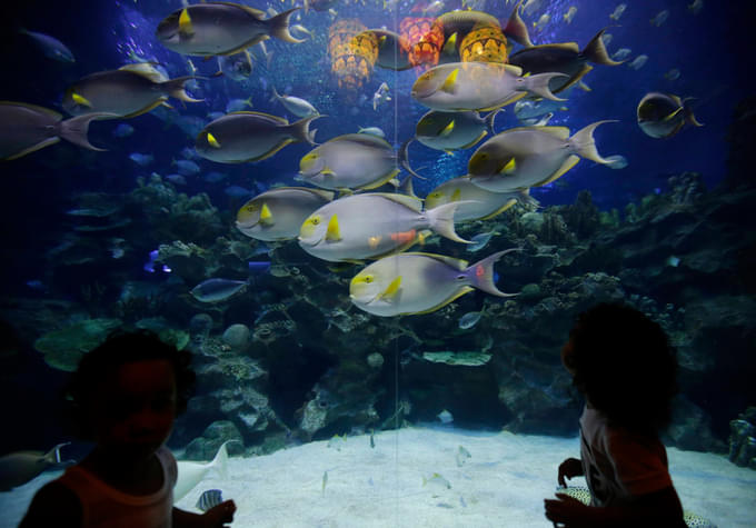 Aquaria KLCC