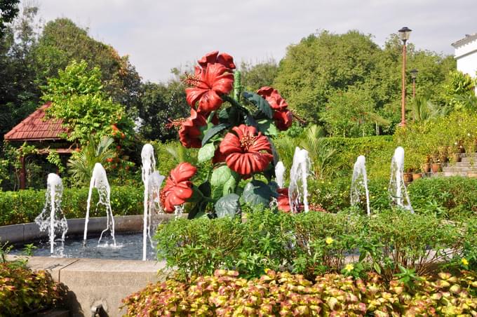 Orchid & Hibiscus Garden.jpg